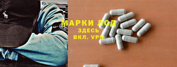 PSILOCYBIN Вязники