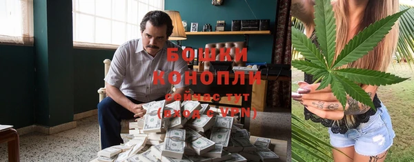 PSILOCYBIN Вязники