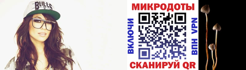 Галлюциногенные грибы Magic Shrooms  Кисловодск 
